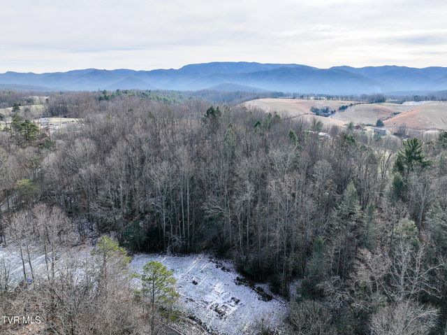 875 Frank Roberts Road, Afton, TN 37616