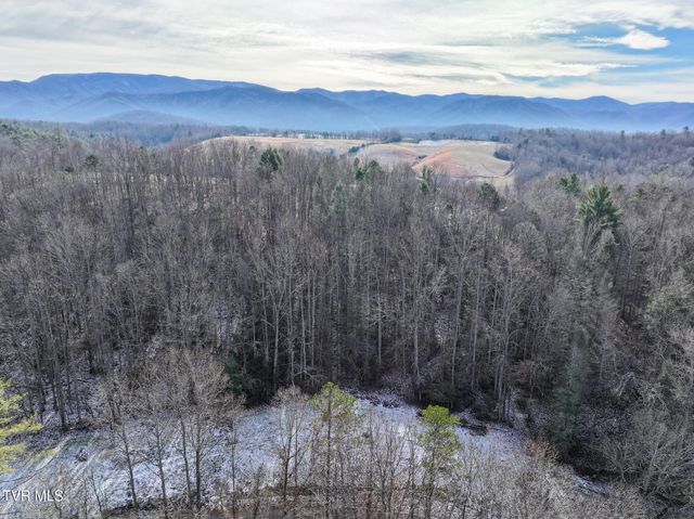 875 Frank Roberts Road, Afton, TN 37616