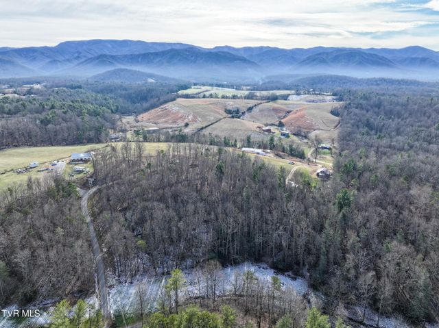 875 Frank Roberts Road, Afton, TN 37616