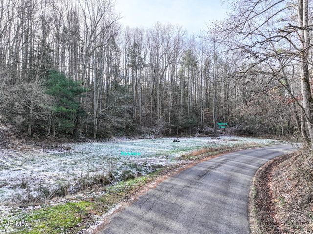 875 Frank Roberts Road, Afton, TN 37616