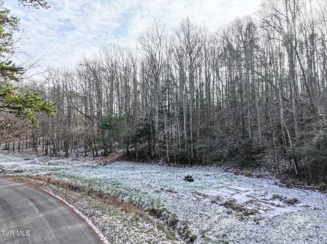 875 Frank Roberts Road, Afton, TN 37616