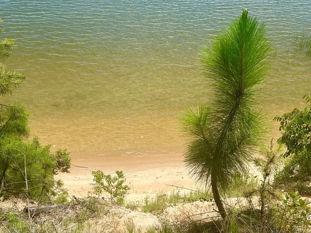 914 Lakeshore Dr, Abbeville, AL 36310