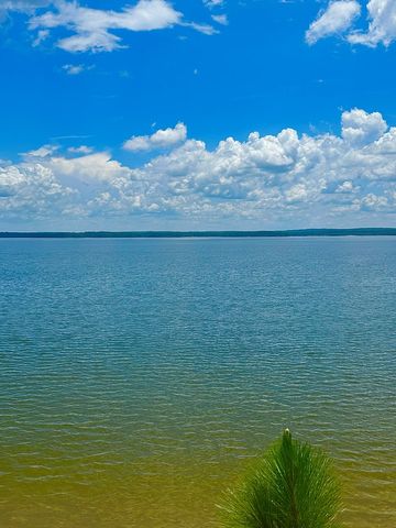 914 Lakeshore Dr, Abbeville, AL 36310