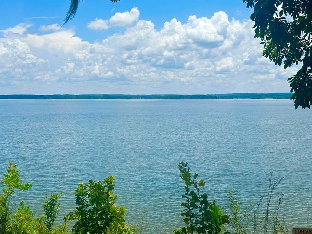 914 Lakeshore Dr, Abbeville, AL 36310