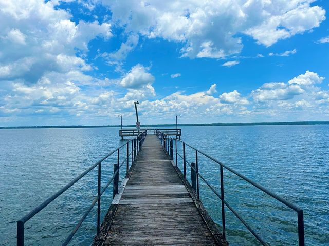 914 Lakeshore Dr, Abbeville, AL 36310