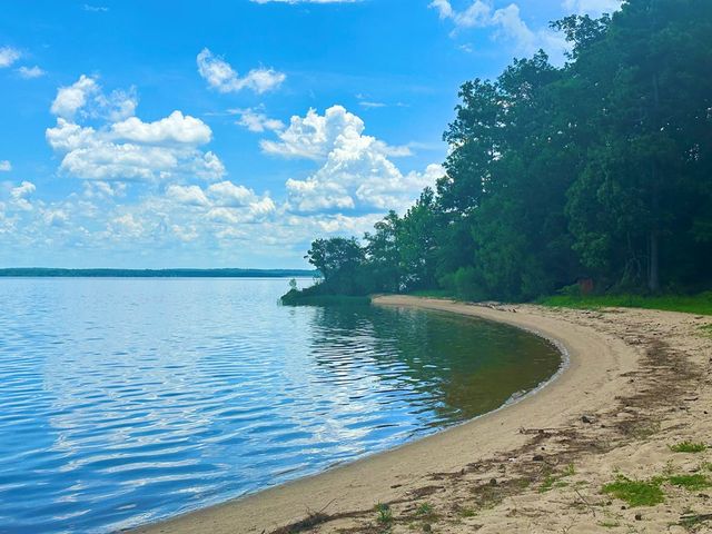 914 Lakeshore Dr, Abbeville, AL 36310