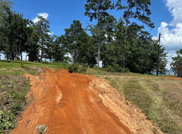 914 Lakeshore Dr, Abbeville, AL 36310