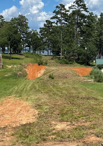 914 Lakeshore Dr, Abbeville, AL 36310