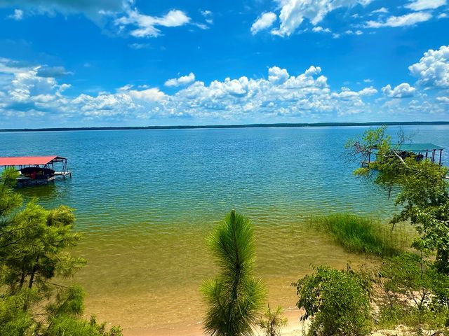 914 Lakeshore Dr, Abbeville, AL 36310