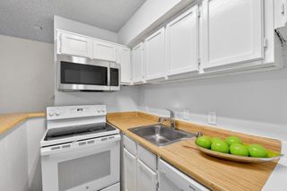 9825 Walnut Street 306, Dallas, TX 75243
