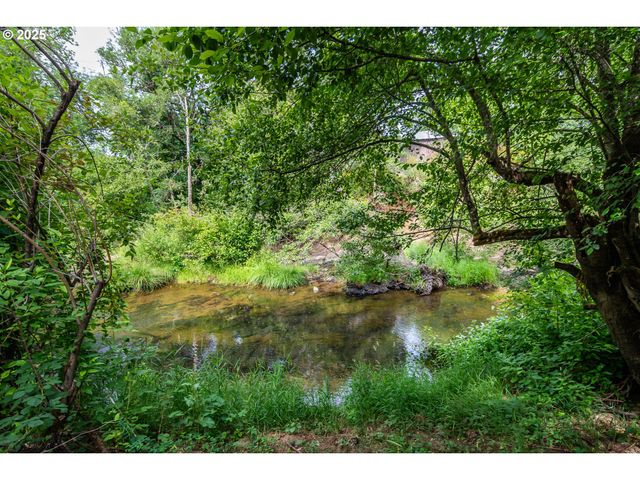 314 S CEDAR St, Drain, OR 97435