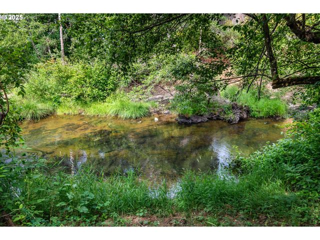 314 S CEDAR St, Drain, OR 97435