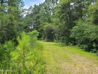 Hwy 612, Lucedale, MS 39452