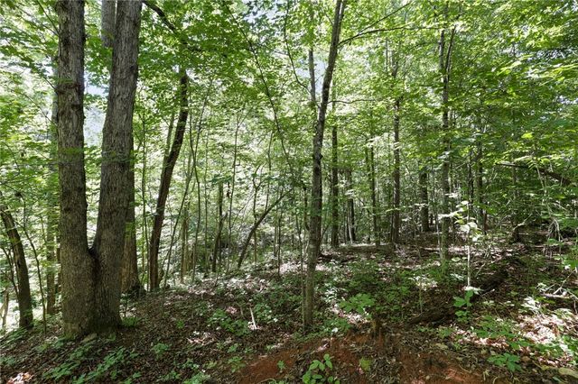 196 Raines Road, Easley, SC 29640