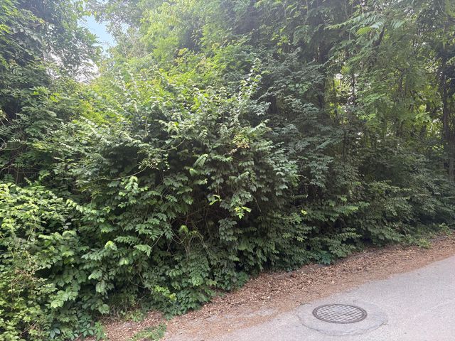 514 E Manning Street, Chattanooga, TN 37405