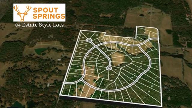 Lot 51 Spout Springs Road, Pottsboro, TX 75076