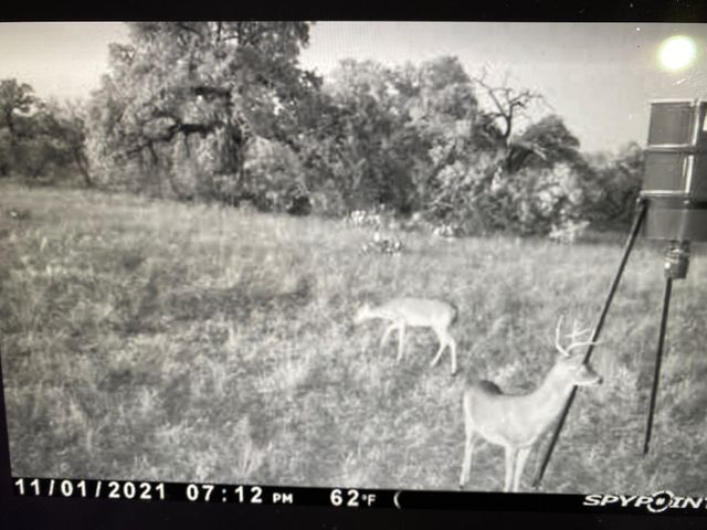 000A Union School House RD, Mason, TX 76856