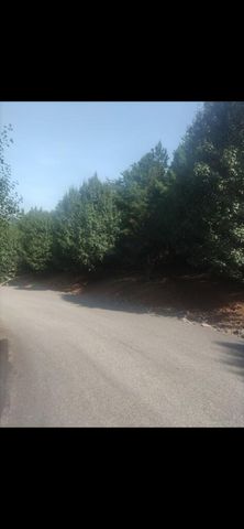 00 Dasali Way, Murphy, NC 28906