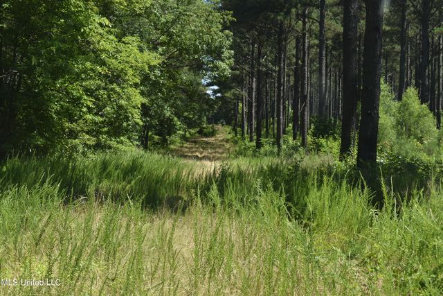 2150 Wilkins Chapel Road, Holly Springs, MS 38635