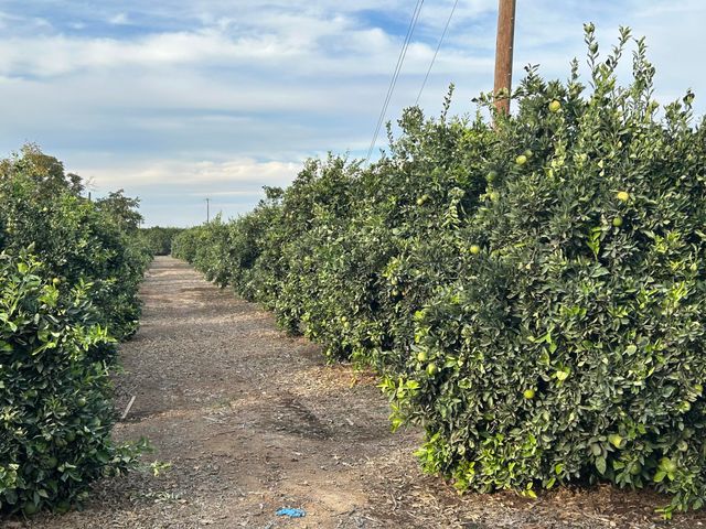 20210 Road 208, Lindsay, CA 93247