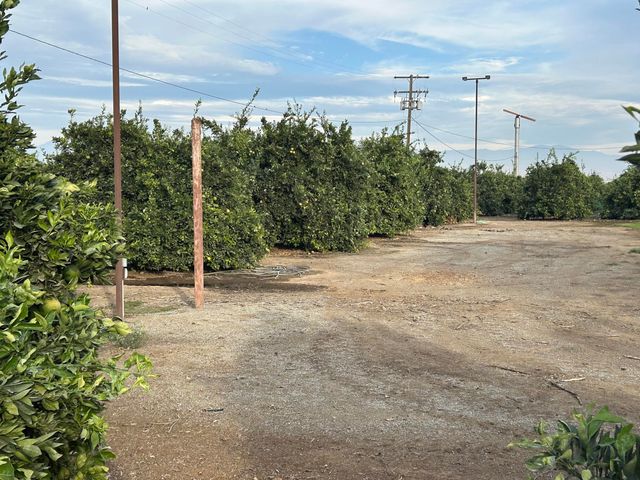 20210 Road 208, Lindsay, CA 93247