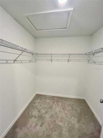 36113 RISA MICHELE STREET, Zephyrhills, FL 33541