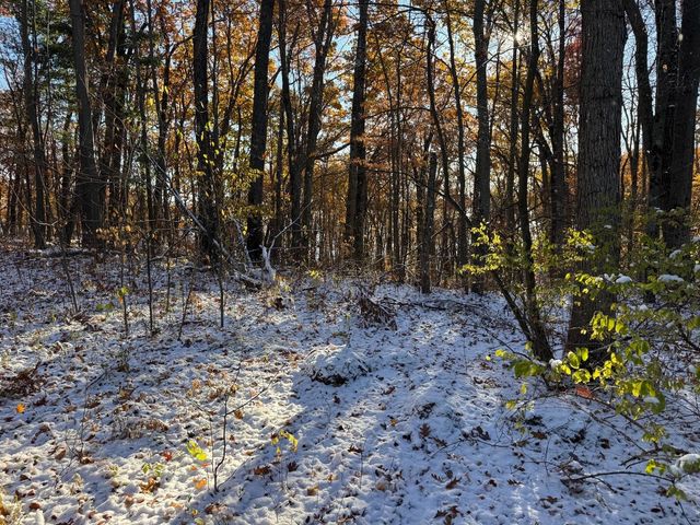 2512 S Sportsman Drive, White Cloud, MI 49349