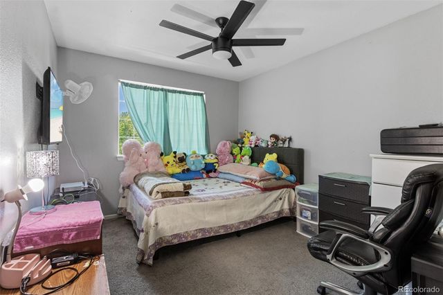 1338 Basseterre Place, Fort Collins, CO 80525