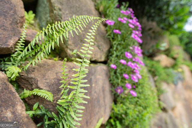 295 Goble Gap Road, Clayton, GA 30525