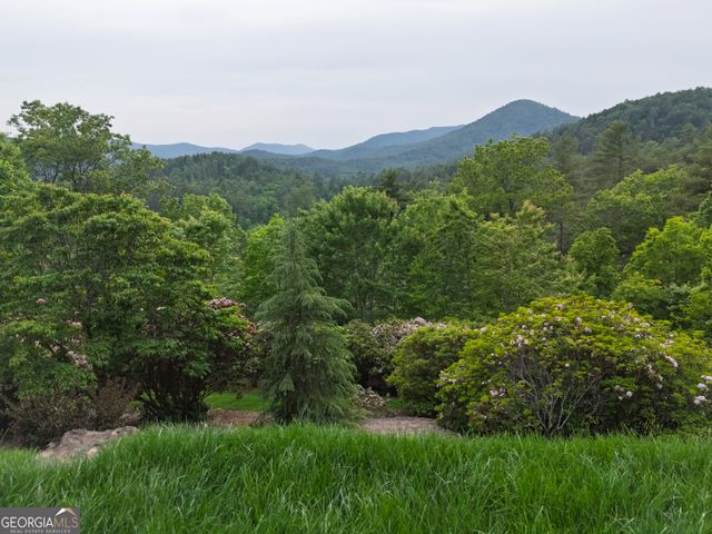 295 Goble Gap Road, Clayton, GA 30525