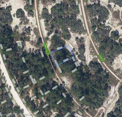 359 Summer Hill Drive, Lake Placid, FL 33852