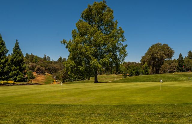 23290 E Shadow Dr, Auburn, CA 95602