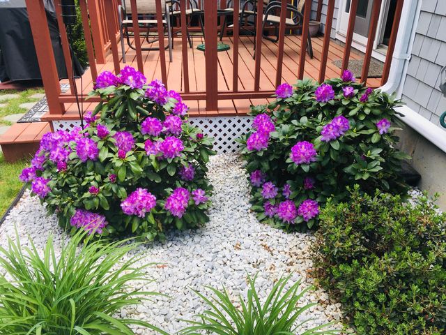 1 Hawthorne Court UNIT C, Pocasset, MA 02559