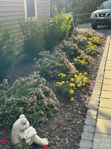 203 Burnt Chimney Lane, Rutherfordton, NC 28139