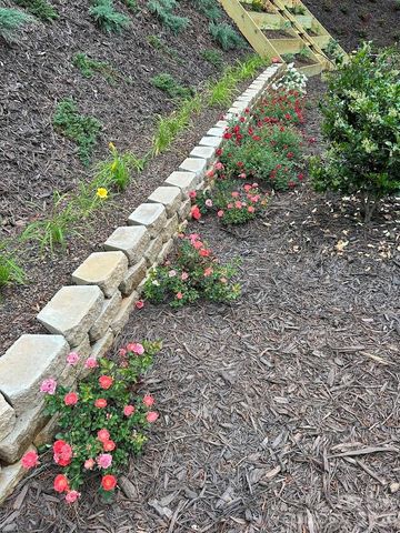 203 Burnt Chimney Lane, Rutherfordton, NC 28139