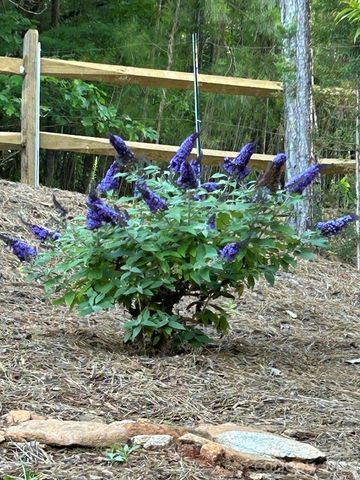 203 Burnt Chimney Lane, Rutherfordton, NC 28139