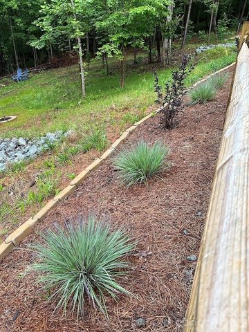 203 Burnt Chimney Lane, Rutherfordton, NC 28139