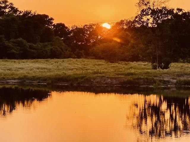 8112 County Road 146, Bedias, TX 77831
