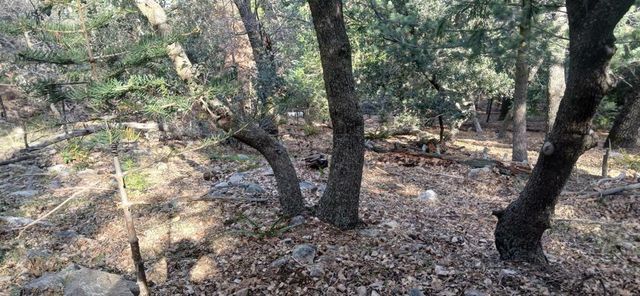 0 Alder Creek Road, Crestline, CA 92325