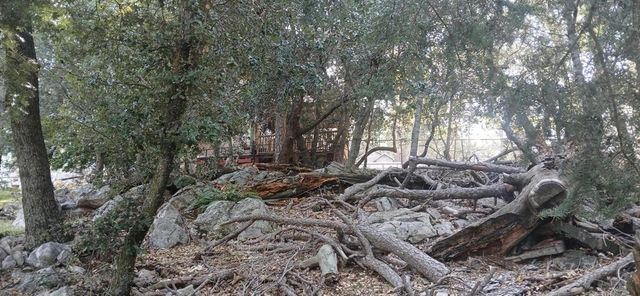 0 Alder Creek Road, Crestline, CA 92325