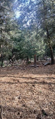 0 Alder Creek Road, Crestline, CA 92325
