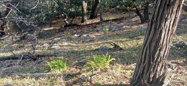 0 Alder Creek Road, Crestline, CA 92325