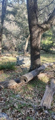 0 Alder Creek Road, Crestline, CA 92325