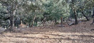 0 Alder Creek Road, Crestline, CA 92325