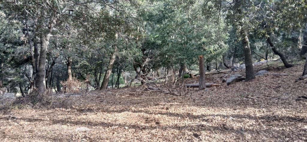 0 Alder Creek Road, Crestline, CA 92325