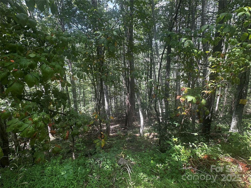 00 Rabbit Hop Road, Spruce Pine, NC 28777
