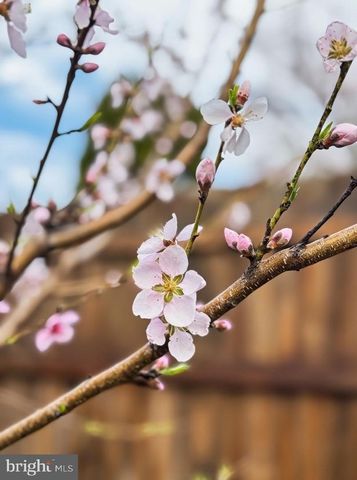 14701 BROOK DR, Woodbridge, VA 22193