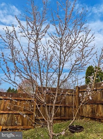 14701 BROOK DR, Woodbridge, VA 22193