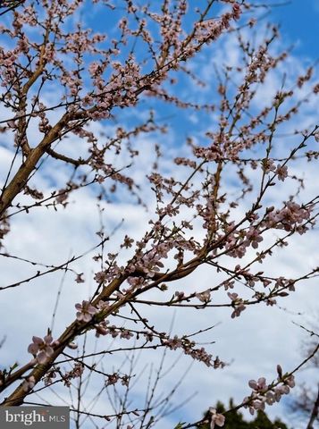 14701 BROOK DR, Woodbridge, VA 22193