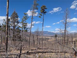 914 Forbes Park Road, Fort Garland, CO 81133